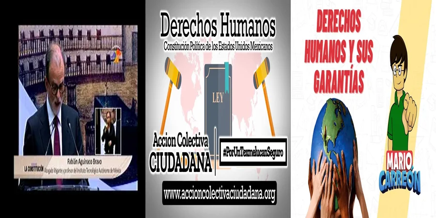 "Derechos Humanos en México: ¿Cómo se Garantizan en la Constitución?"