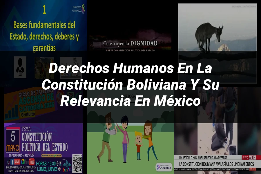 "Derechos Humanos en la Constitución Boliviana y su Relevancia en México"