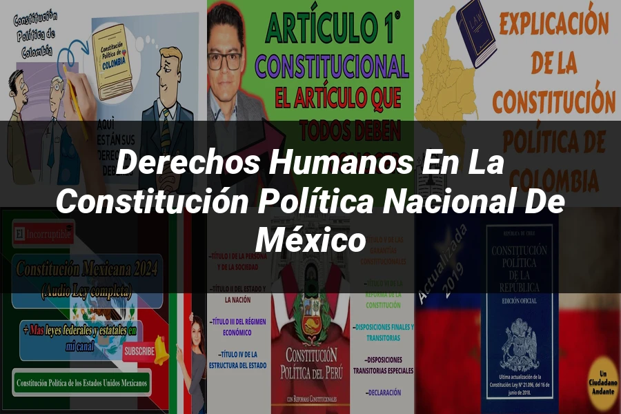 "Derechos Humanos en la Constitución Política Nacional de México"