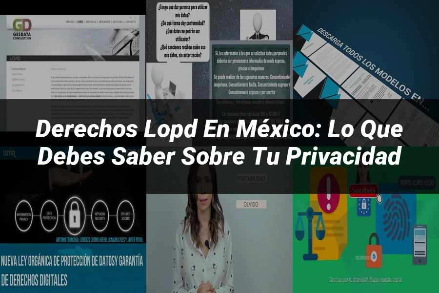 "Derechos LOPD en México: Lo que Debes Saber Sobre Tu Privacidad"