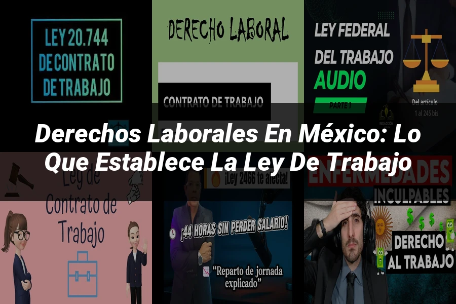 "Derechos Laborales en México: Lo que Establece la Ley de Trabajo"