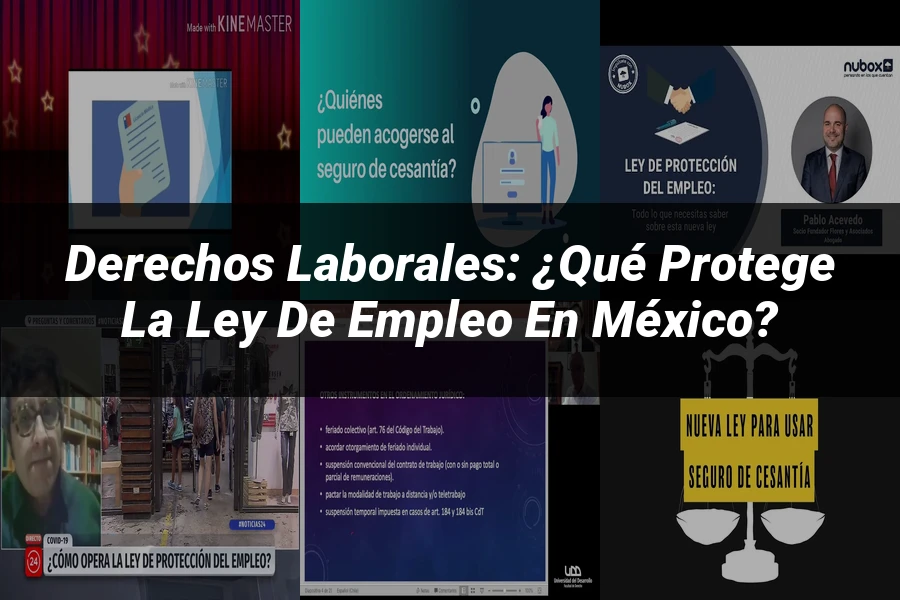"Derechos Laborales: ¿Qué Protege la Ley de Empleo en México?"