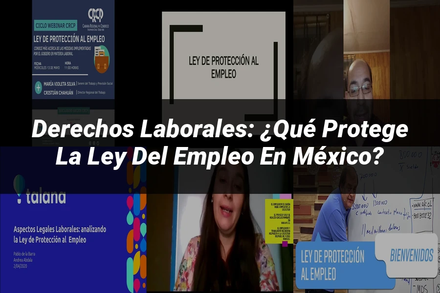 "Derechos Laborales: ¿Qué Protege la Ley del Empleo en México?"
