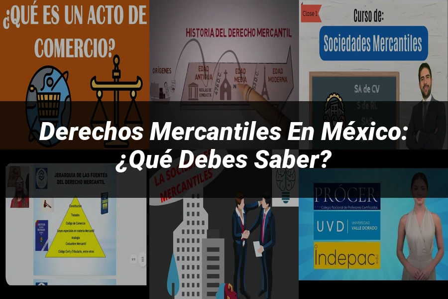 "Derechos Mercantiles en México: ¿Qué Debes Saber?"