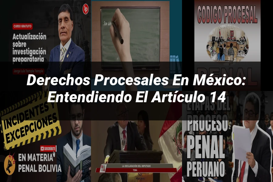 "Derechos Procesales en México: Entendiendo el Artículo 14"