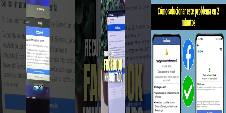 "Derechos al apelar una suspensión en Facebook en México"