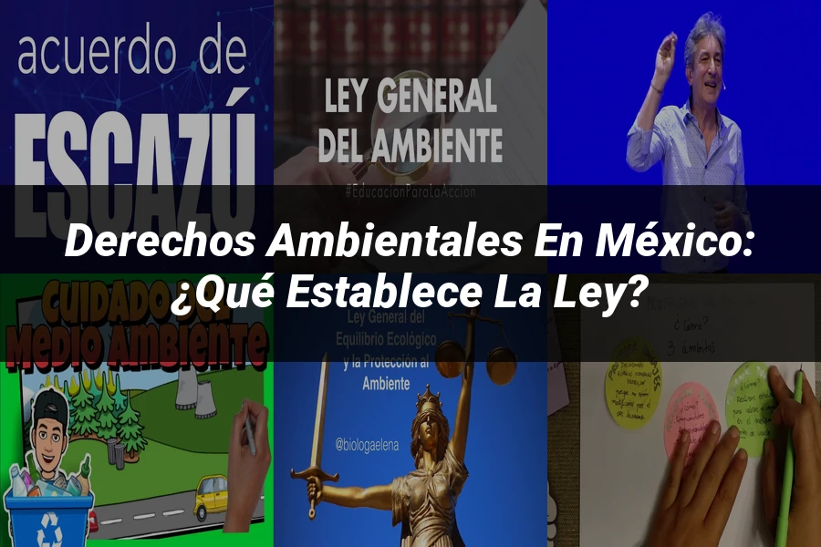 "Derechos ambientales en México: ¿Qué establece la ley?"