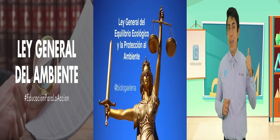 "Derechos ambientales en México: ¿Qué establece la ley?"