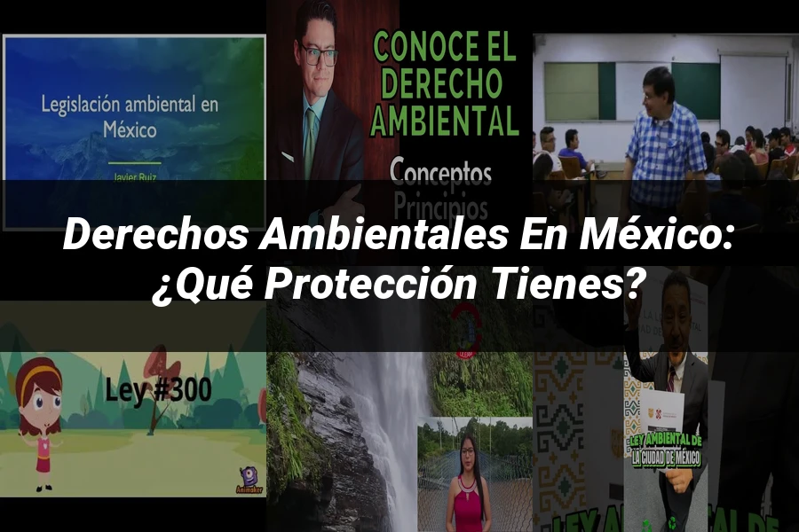 "Derechos ambientales en México: ¿Qué protección tienes?"
