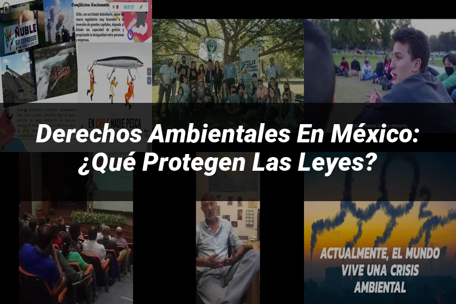 "Derechos ambientales en México: ¿Qué protegen las leyes?"