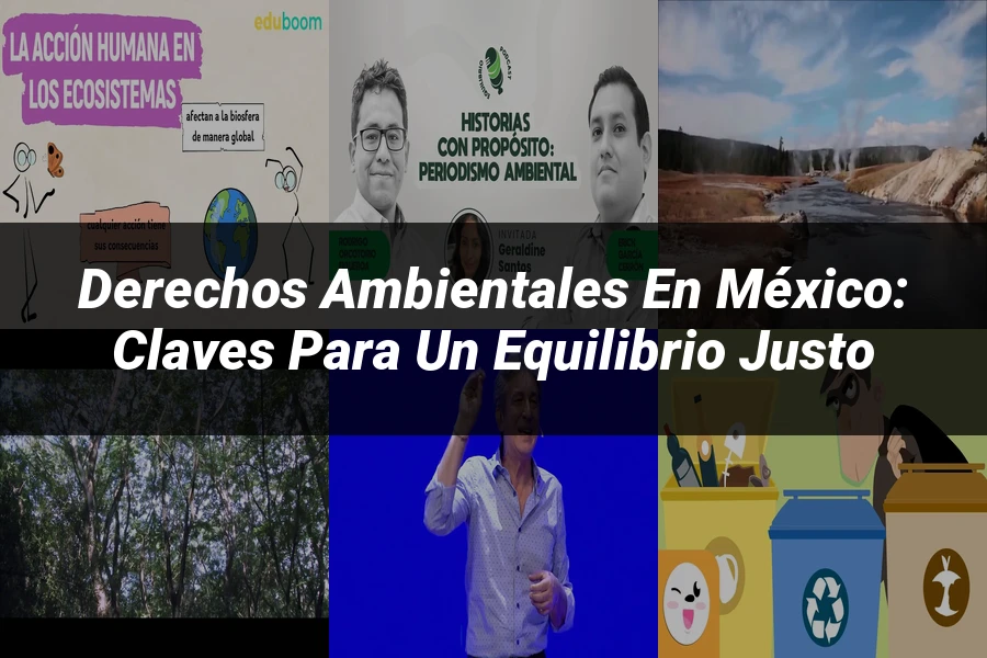 "Derechos ambientales en México: claves para un equilibrio justo"