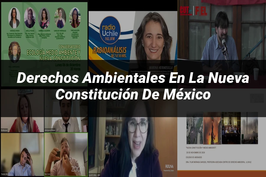 "Derechos ambientales en la nueva constitución de México"