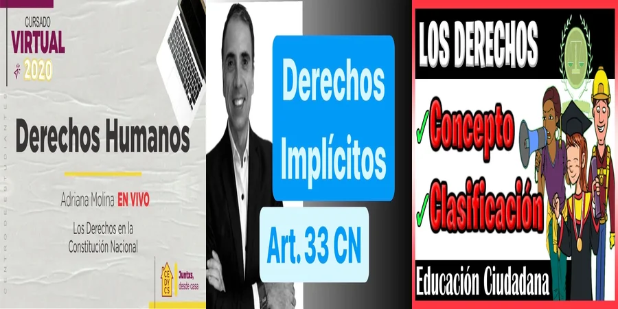"Derechos civiles en la constitución argentina y su impacto en México"