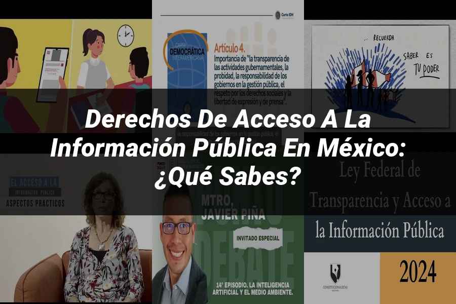 "Derechos de Acceso a la Información Pública en México: ¿Qué Sabes?"