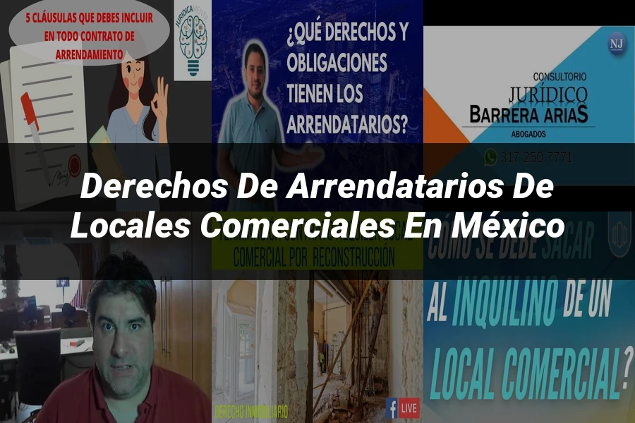 "Derechos de Arrendatarios de Locales Comerciales en México"
