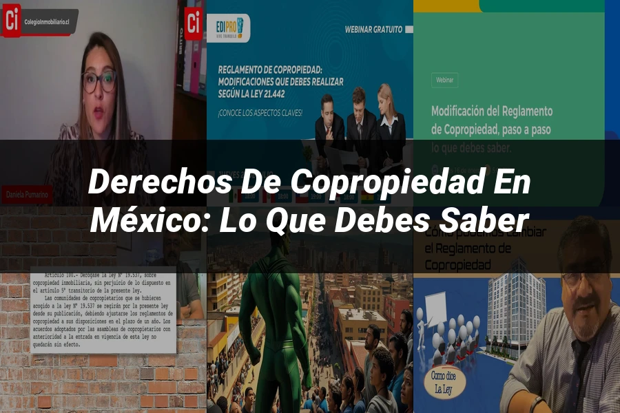"Derechos de Copropiedad en México: Lo que Debes Saber"