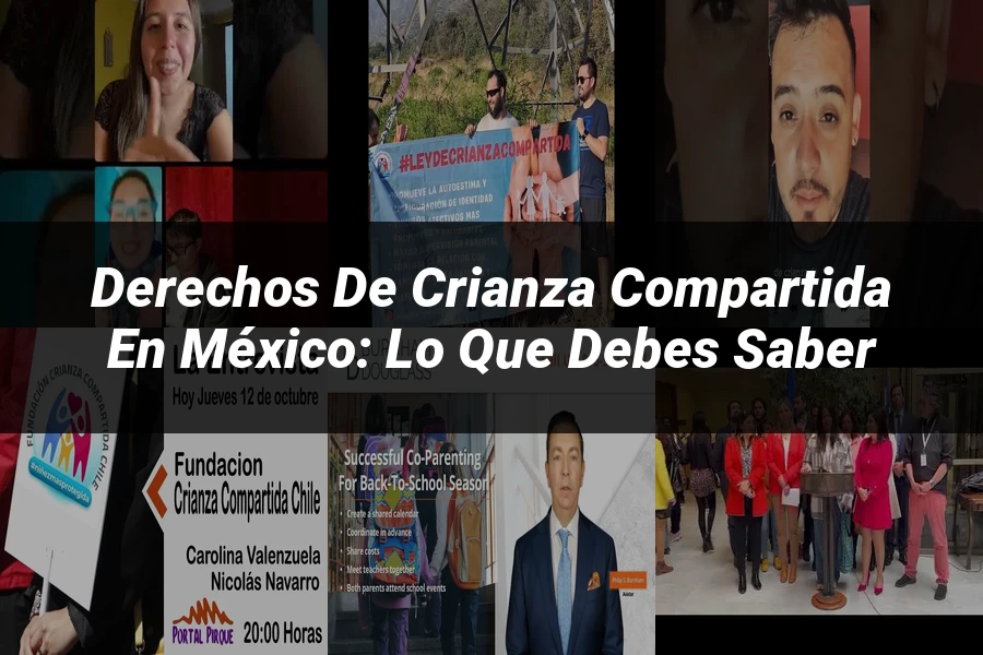 "Derechos de Crianza Compartida en México: Lo que Debes Saber"