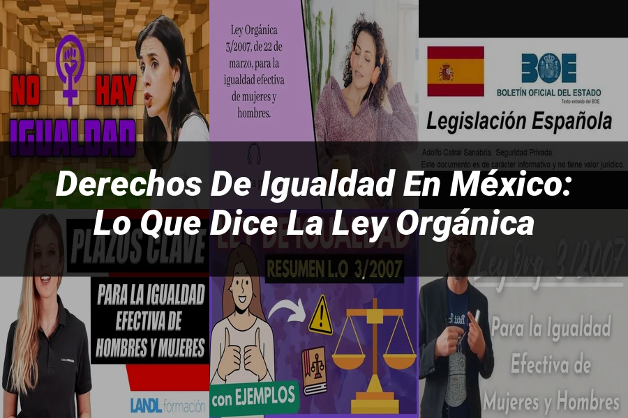 "Derechos de Igualdad en México: Lo Que Dice la Ley Orgánica"