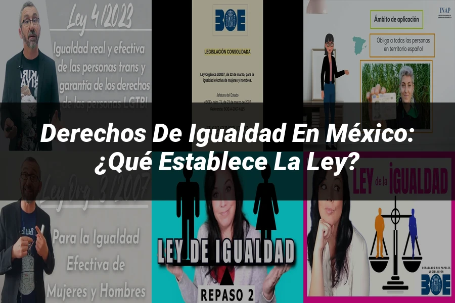 "Derechos de Igualdad en México: ¿Qué Establece la Ley?"
