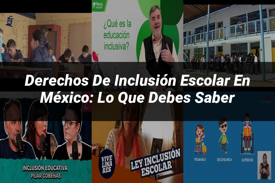 "Derechos de Inclusión Escolar en México: Lo Que Debes Saber"