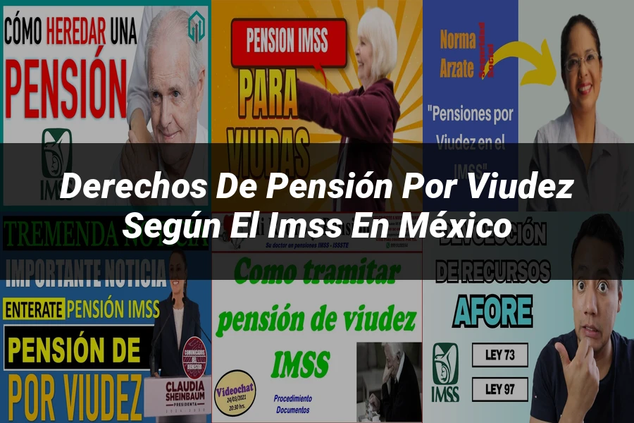 "Derechos de Pensión por Viudez según el IMSS en México"