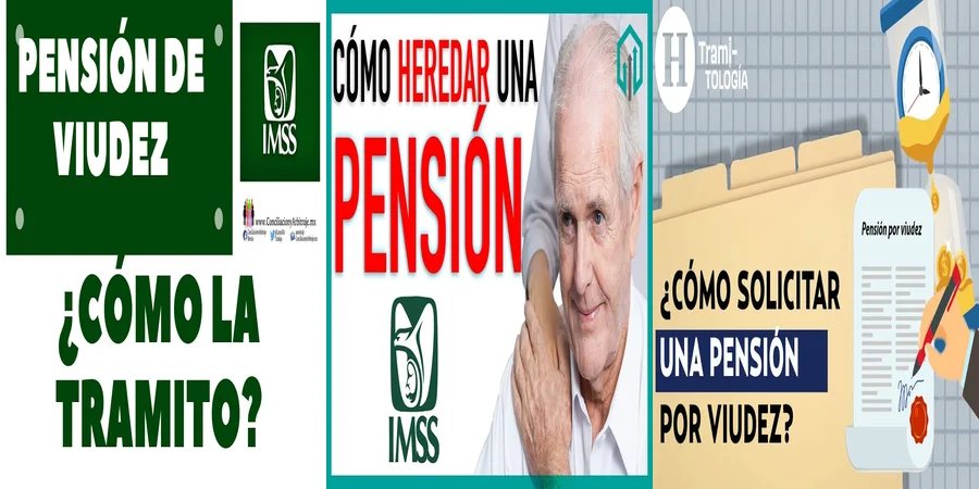 "Derechos de Pensión por Viudez según el IMSS en México"