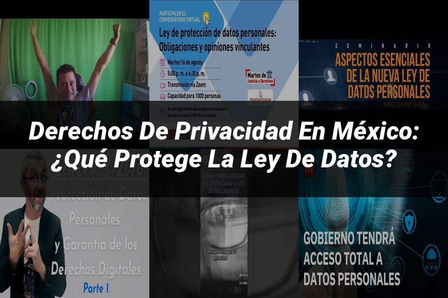 "Derechos de Privacidad en México: ¿Qué Protege la Ley de Datos?"