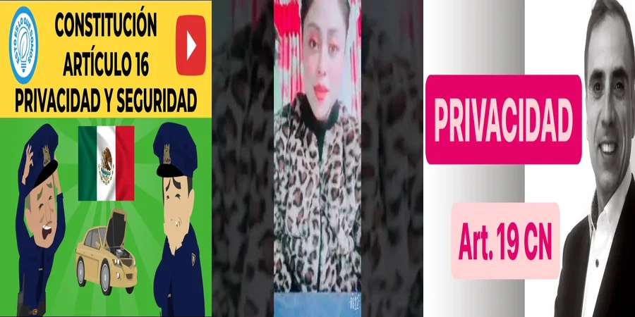 "Derechos de Privacidad en la Constitución Mexicana: Lo Esencial"