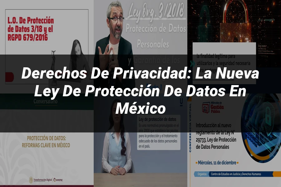 "Derechos de Privacidad: La Nueva Ley de Protección de Datos en México"