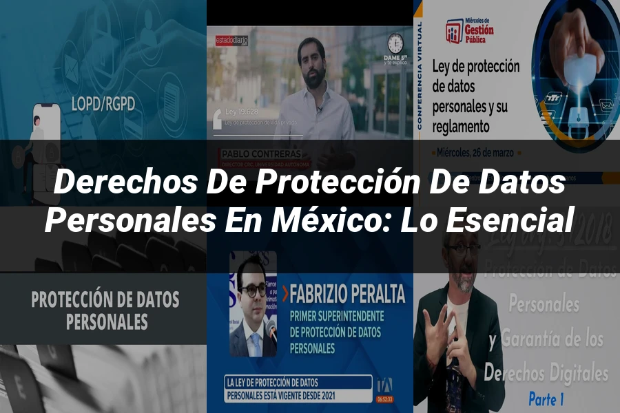 "Derechos de Protección de Datos Personales en México: Lo Esencial"