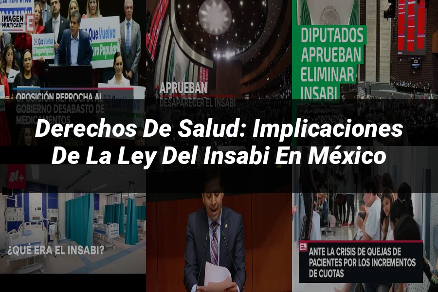 "Derechos de Salud: Implicaciones de la Ley del Insabi en México"