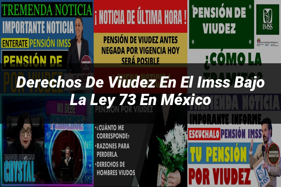 "Derechos de Viudez en el IMSS bajo la Ley 73 en México"