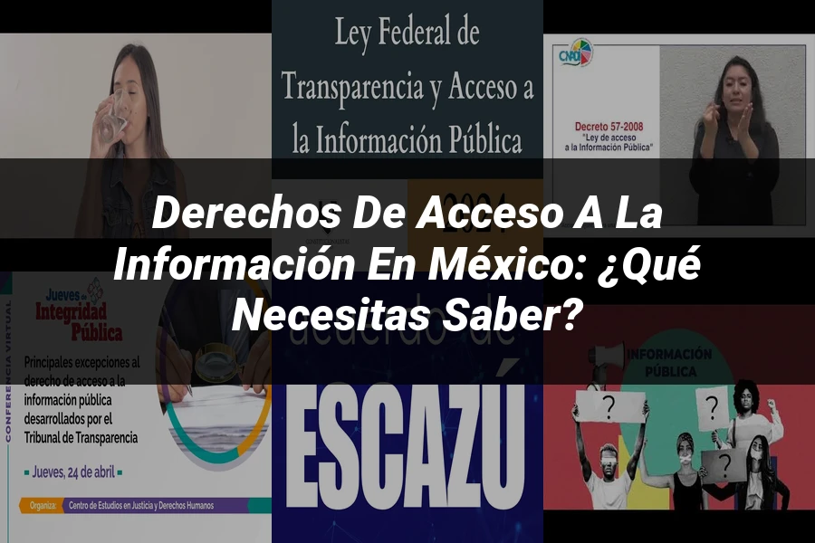 "Derechos de acceso a la información en México: ¿Qué necesitas saber?"