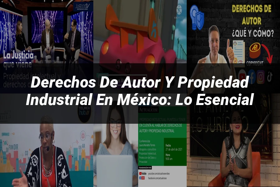 "Derechos de autor y propiedad industrial en México: lo esencial"