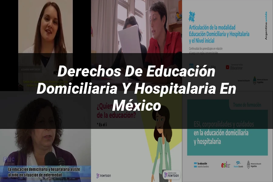 "Derechos de educación domiciliaria y hospitalaria en México"