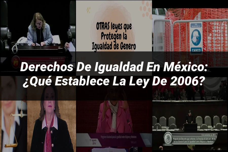 "Derechos de igualdad en México: ¿Qué establece la ley de 2006?"