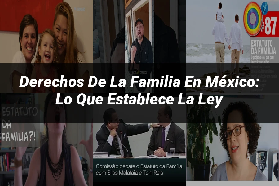 "Derechos de la Familia en México: Lo que Establece la Ley"