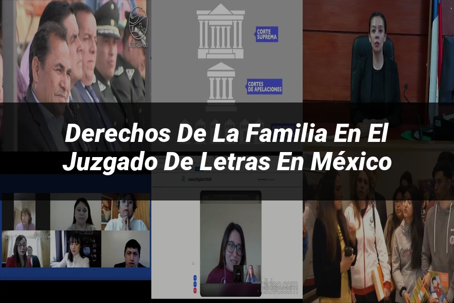 "Derechos de la Familia en el Juzgado de Letras en México"