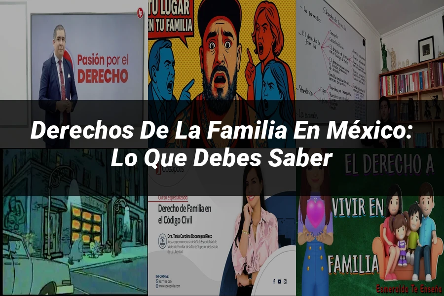 "Derechos de la familia en México: lo que debes saber"