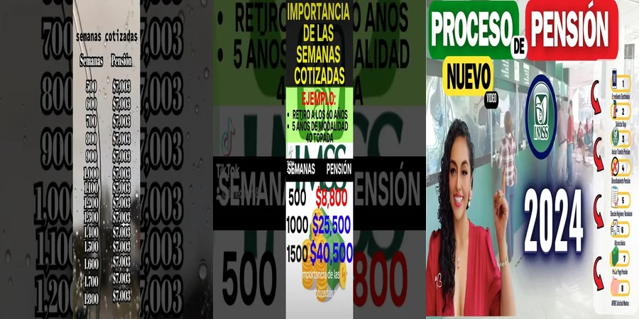 "Derechos de la pensión IMSS 1973 y su impacto en México"
