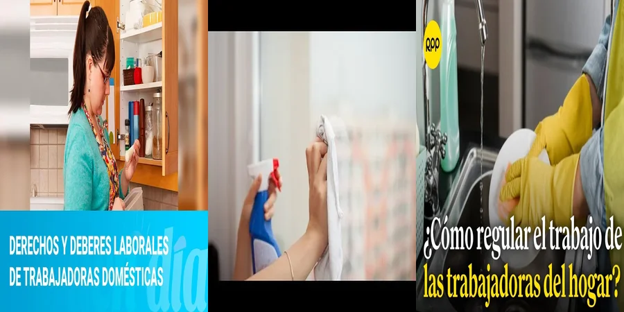 "Derechos de las Trabajadoras Domésticas según la Ley en México"