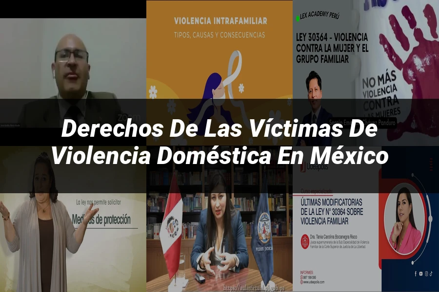 "Derechos de las Víctimas de Violencia Doméstica en México"