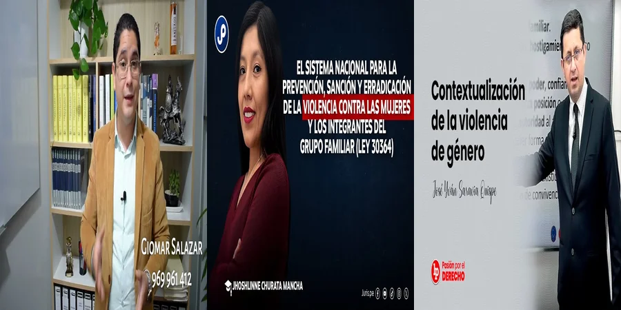 "Derechos de las Víctimas de Violencia Doméstica en México"