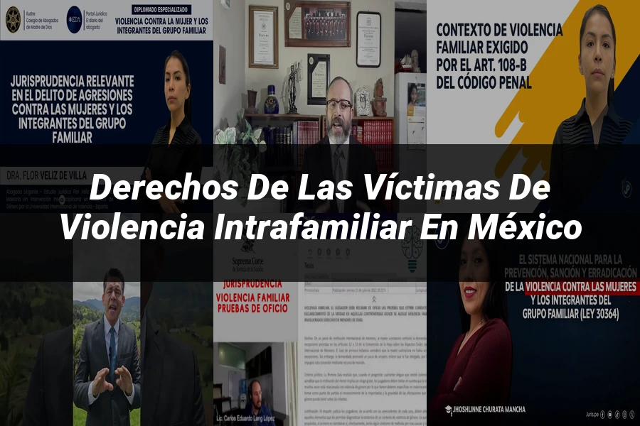 "Derechos de las Víctimas de Violencia Intrafamiliar en México"