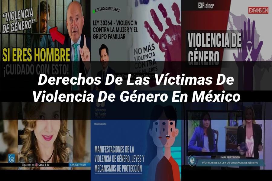 "Derechos de las Víctimas de Violencia de Género en México"