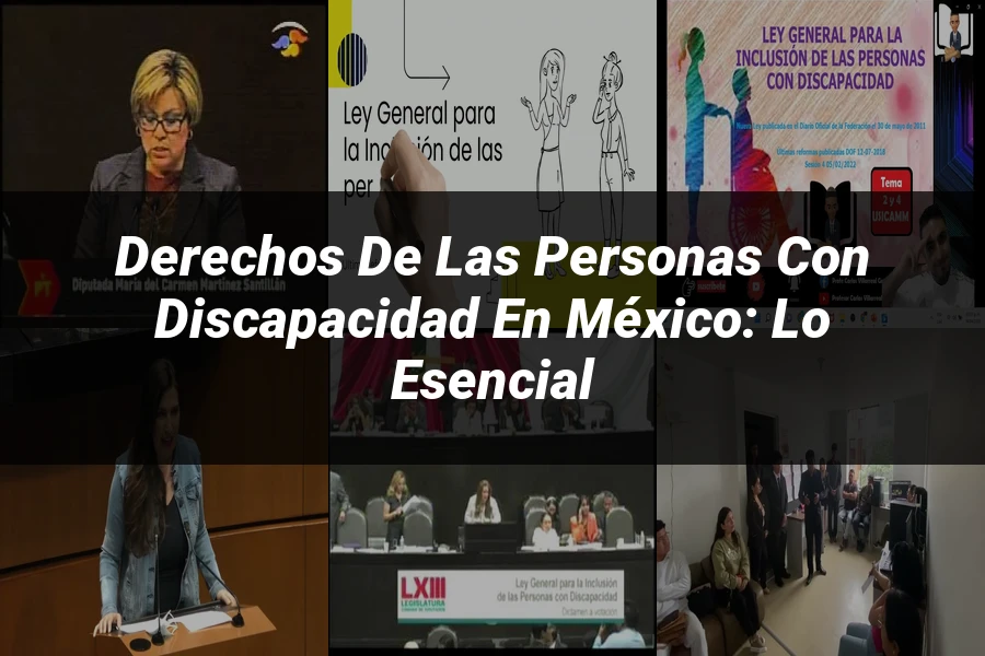 "Derechos de las personas con discapacidad en México: lo esencial"