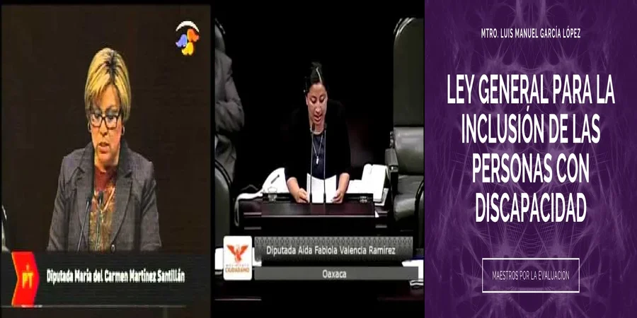 "Derechos de las personas con discapacidad en México: lo esencial"