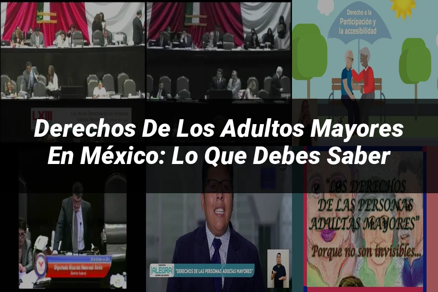 "Derechos de los Adultos Mayores en México: Lo Que Debes Saber"