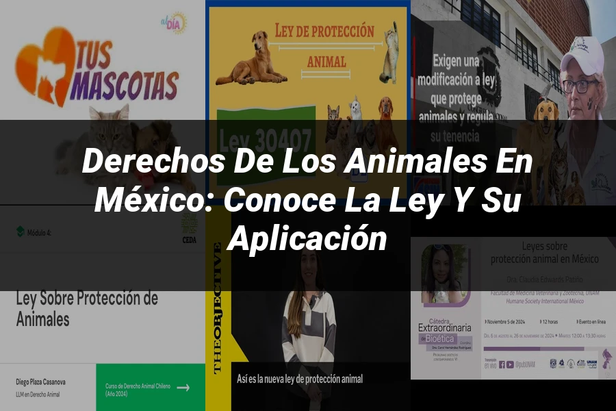 "Derechos de los Animales en México: Conoce la Ley y su Aplicación"
