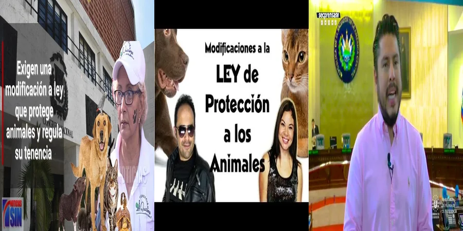 "Derechos de los Animales en México: Conoce la Ley y su Aplicación"